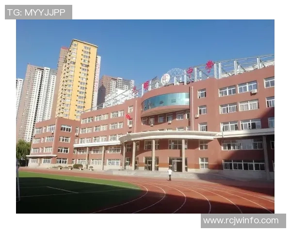 张宁：从普通学子到行业领军人物的成长之路与奋斗故事