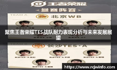 聚焦王者荣耀TES战队耐力表现分析与未来发展展望
